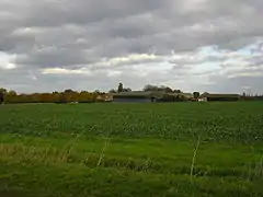 A green picture. Grassy field margins in the immediate foreground, and behind a vigorously-leafed field of beet, a slightly darker green. On the horizon is a cluster of modern barns, and a modern farmhouse with an older building on the left. Above them all is a sky mostly dark with cumulus clouds, with the palest patch of blue above our heads.