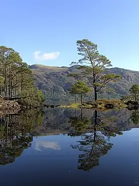 Image 11Eilean Ruairidh Mòr, one of many forested islands in Loch MareeCredit: Jerry Sharp