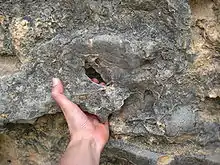 Climbing at Margalef