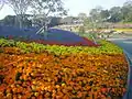 Marigold beds at Green Park in mid-November 2004