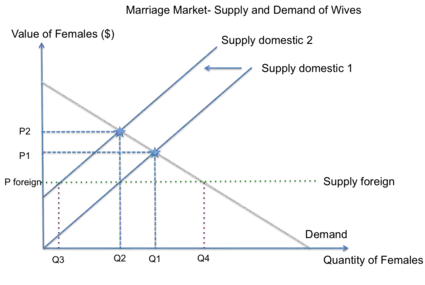 This graph shows the marriage market for women in India and how the lack of females due to female foeticide results in a lower supply of women. The gap is bridged by men kidnapping or importing wives from other regions.