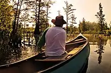 A canoeist on the Cache River