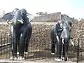 Masonry Elephants