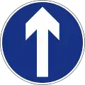 Ahead only (turning left and right is prohibited)