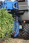A Braud grape harvester shaking the grape vines to remove berries during harvest in Lombardy (Italy)