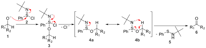 In oxidation reactions with N-tert-butylbenzenesulfinimidoyl chloride, a five-membered ring transition state is responsible for the formation of a new double bond.