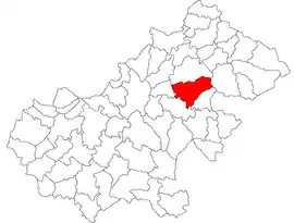 Location in Satu Mare County