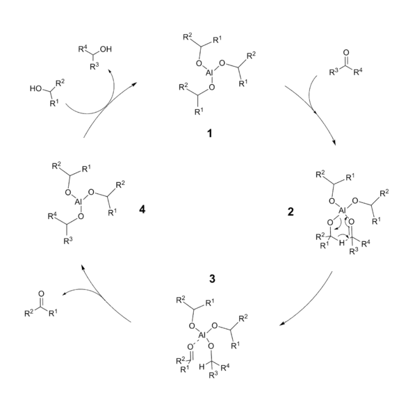 Meerwein–Ponndorf–Verley reduction catalytic cycle