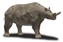 Megacerops reconstruction