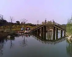 Shouguang Mihe park. Bridge.