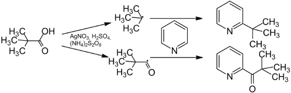 Mechanism of the Minisci-Reaction