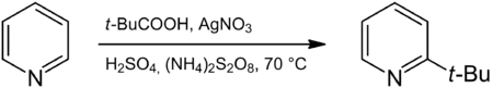 Reaction between pyridine and pivalic acid to 2-tert-butylpyridine