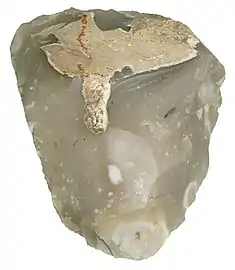 A hand axe made of Miorcani flint from the Cenomanian chalky marl layer of the Moldavian Plateau. (ca. 7.5&nbsp;cm wide).