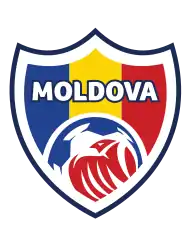 Shirt badge/Association crest