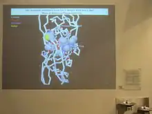 Projected display displaying simulation.