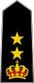 Lieutenant Colonel