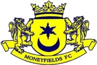 Moneyfields' logo