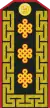 Mongolian Army-LTG-service 1998-2011