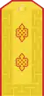 Mongolian Army-Lieutenant general-parade 1990-1998