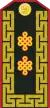 Mongolian Army-MJG-service 1998-2011