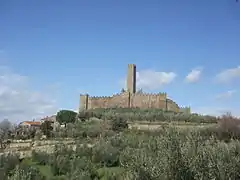 Castle with ancient country house in front