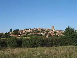 A general view of Montpeyroux