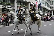 The Commissioner of the City of London Police in full ceremonial uniform, 2012.