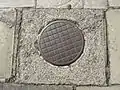 Ornate coal hole cover