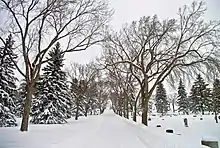 Mount Pleasant Cemetery in Edmonton during winter