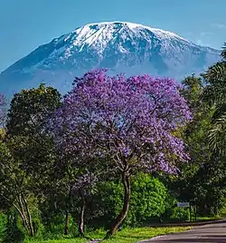 Kilimajaro view from Marangu, Moshi District
