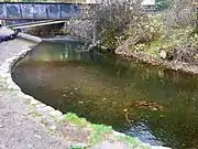 Lower Multnomah Creek