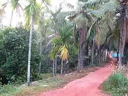 Varam village