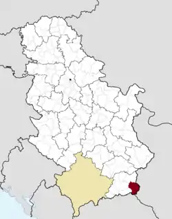 Location of the municipality of Bosilegrad within Serbia