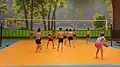 Volleyball court