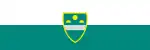 Flag of City Municipality of Murska Sobota