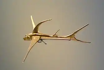 Pendant; 1 CE-900; gold; 3.1 x 9.7 x 8.8&nbsp;cm; Gold Museum (Bogotá, Colombia)