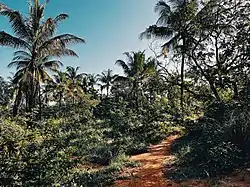 Mzizima Ward Landscape, Tanga District