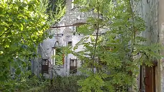 Interior of the first floor, unroofed and overgrown.