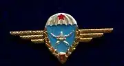 Hungarian People's Army Gold Laurel 1st Class Parachutist Badge from the 1970's