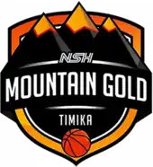 NSH Mountain Gold Timika logo