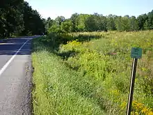 Road in woods and greens with old road sign to the east