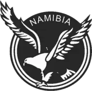 Shirt badge/Association crest