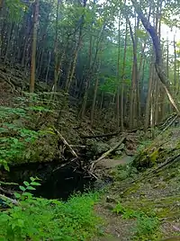Narragansett Trail - Green Fall River ravine south of Green Fall Pond.