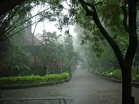 Film archives Pune on a rainy day in June