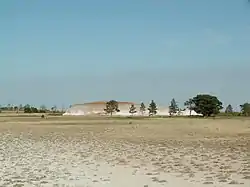 Detail of Naurzum Nature Reserve