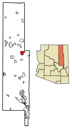 Location of Whitecone in Navajo County, Arizona.