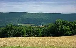 Nescopeck Mountain in Main Township