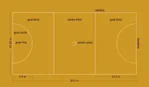 Diagram of netball court. The court is divided into thirds. Dimensions and positions are listed on the diagram.