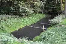 A small river surrounded by greenery, with trees on the far side