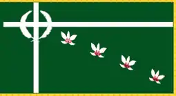 Flag of Southern Leyte